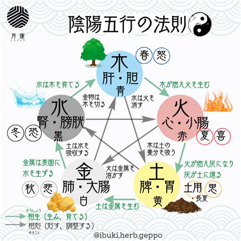 日本 五行|「陰陽五行説」 